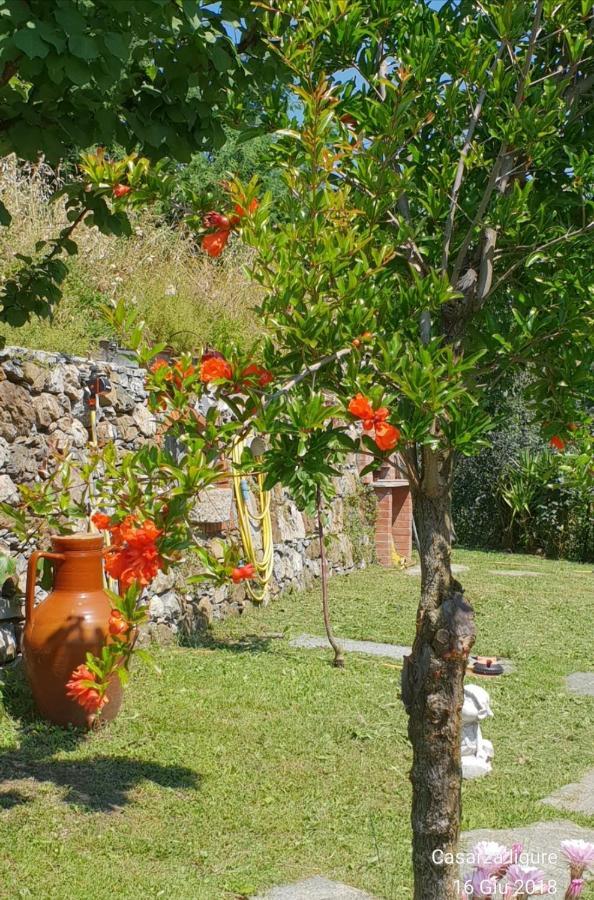 Ca' Olivella Vila Casarza Ligure Exterior foto